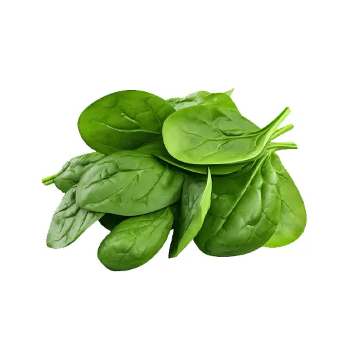 Organic Spinach Baby Leaves
