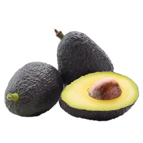 Organic Avocado Hass