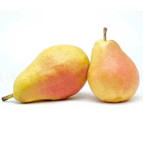 Organic Pear