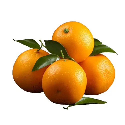 Organic Orange