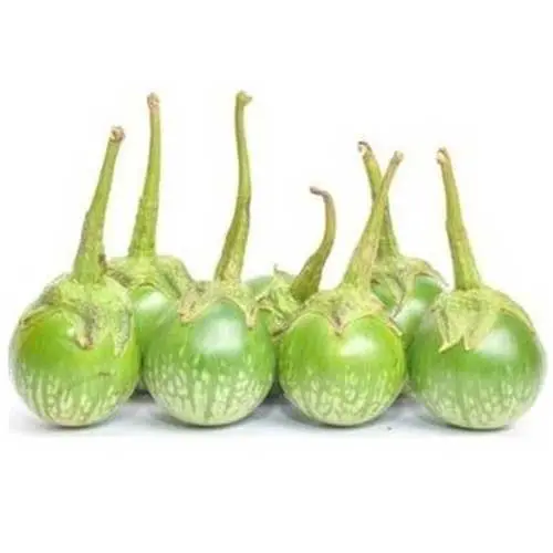 Ravaya Green (Round)