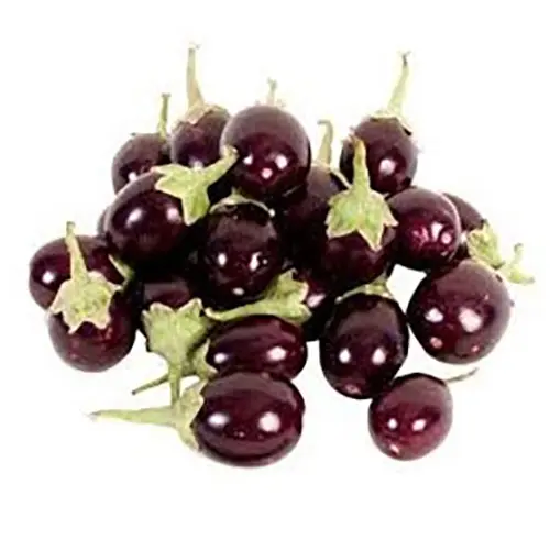 Ravaya Purple (Round)