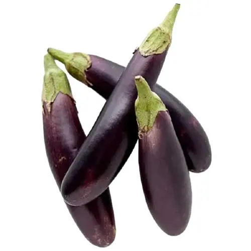 Ravaya Purple (Long)