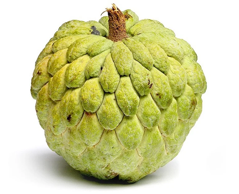 Custard Apple