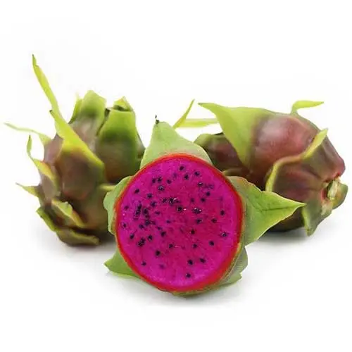 Dragon Fruit