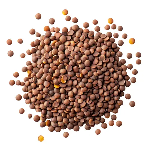 Mustard Seed Brown