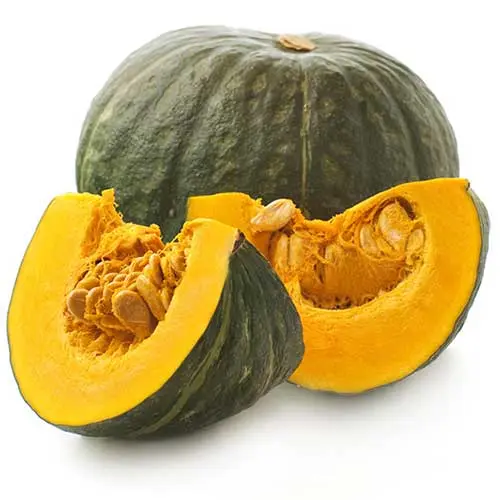 Organic Green Shiatsu Pumpkin