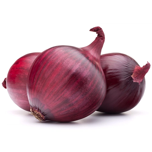 Organic Red Onion 