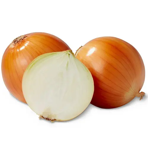 Organic Yellow Onion
