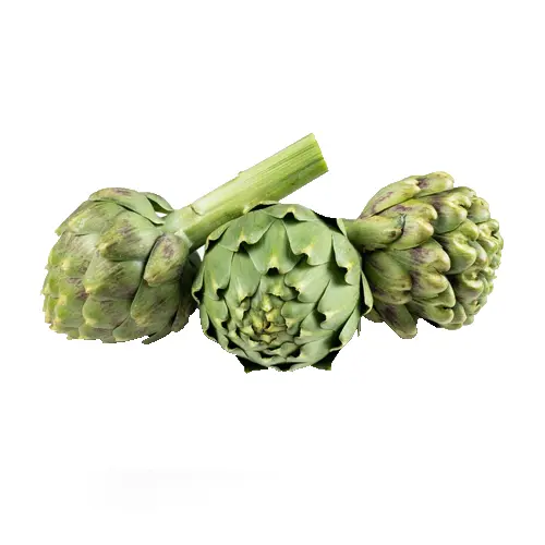 Artichoke 