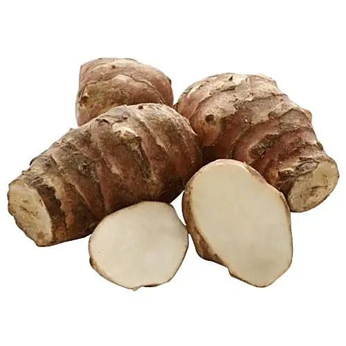 Artichoke Jerusalem