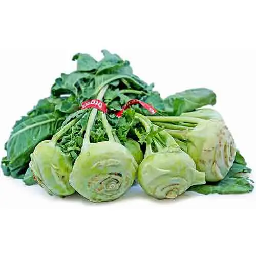 Organic Kohlrabi Green
