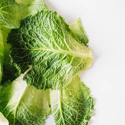 Kohl Rabi Green