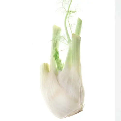 Leeks