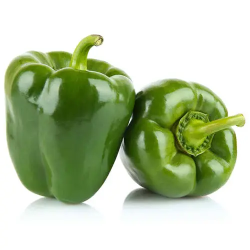 Organic Green Bell Pepper
