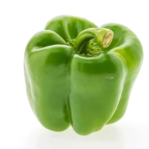 Pepper Green