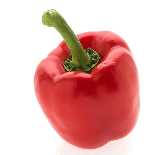 Pepper Red