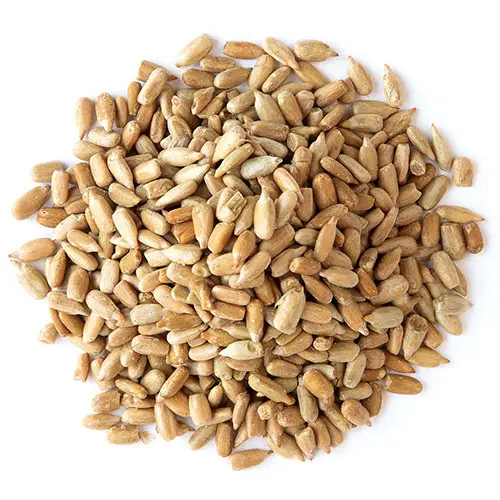 Organic Sunflower Seed Kernels