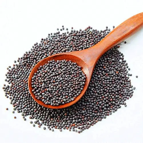 Mustard Seed Black (Regular)