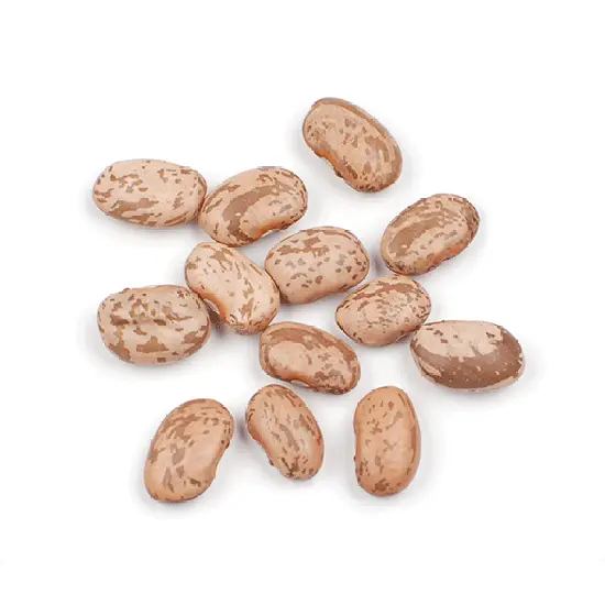 Organic Pinto Beans