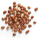 Nuts and Seeds
