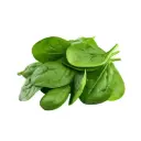 Organic Spinach Leaves