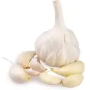 Organic Garlic