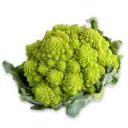 Organic Romanesco Broccoli