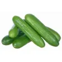 Organic Short Cucumber