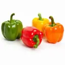 Mixed Bell Pepper    
