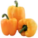 Yellow Bell Pepper 