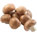 Chestnut Brown Mushroom  