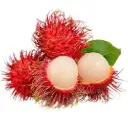 Rambutan