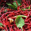 Beetroot Salad Maple Walnuts