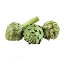 Artichoke 