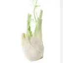 Leeks