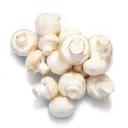 Mushroom White