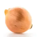 Onion Yellow