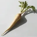 Parsnip