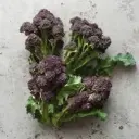 Purple Sprouting Broccoli