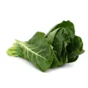 Spring Greens
