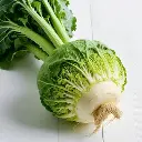 Swede