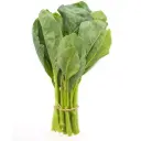 Rainbow Chard