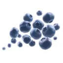 Blueberries  