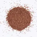 Red Clover Seeds