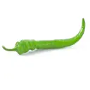 Pepper Chilli Green 