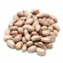 Jack Fruit Seeds 