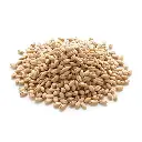 Orzo Rice