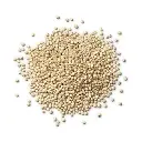 Quinoa Grain 