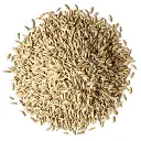 Rye Grain